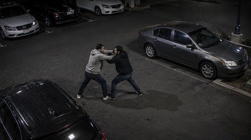 Fight and vandalism detection