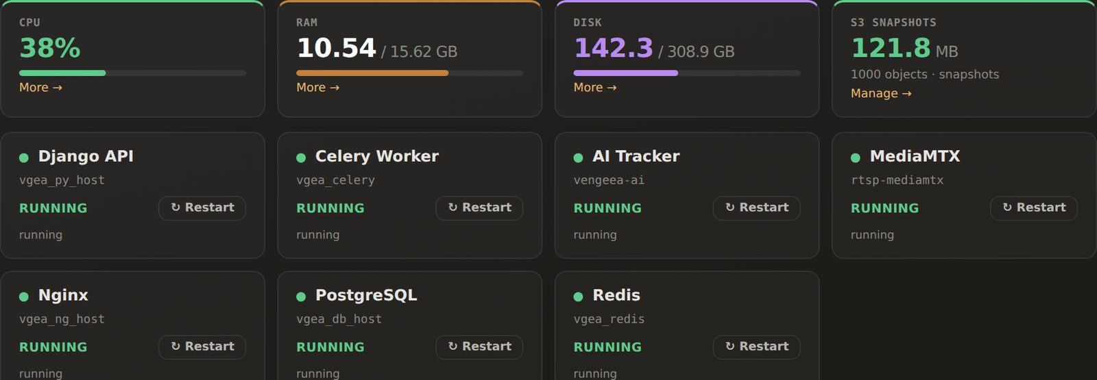Vengeea System page listing the services of an on-premises install: API, worker, AI tracker, stream server, web server, database and cache, all running