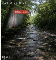 Smoke Detection